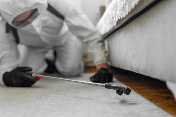 Professional Pest Control technician working in Lyons, GA