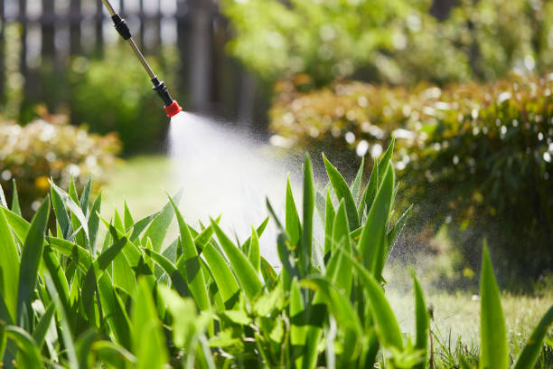24/7 Emergency Mosquito Control experts in Lyons, GA