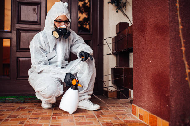 Reliable Mosquito Control contractor in Lyons, GA by Nex Pest Control