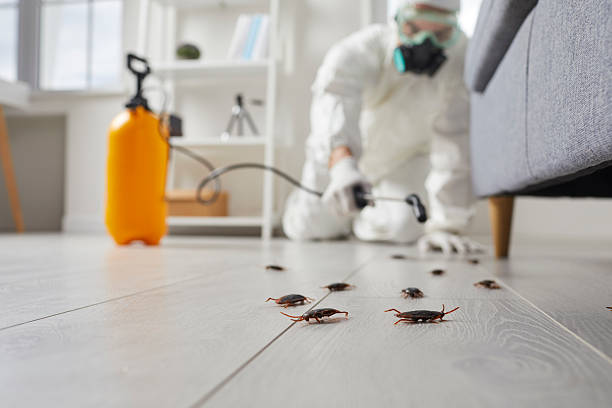 Trusted Rodent Control service in Lyons, GA - Nex Pest Control