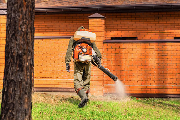 Trusted Cockroach Control service in Lyons, GA - Nex Pest Control